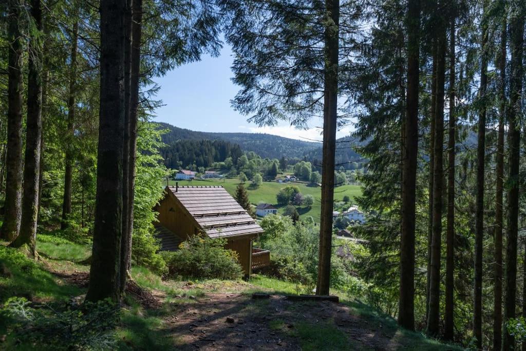 Charmant Chalet Cosy & Paisible En Pleine Nature - Refuge Idyllique Pour 5P Gérardmer Exterior photo